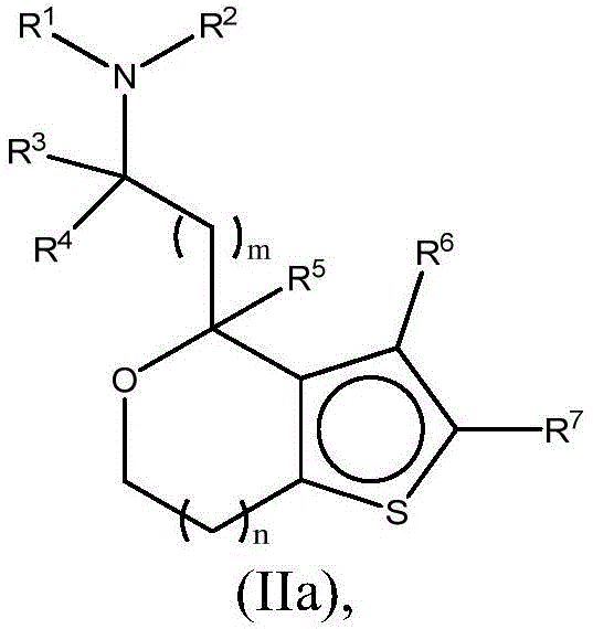 Figure BDA0001117744870000251