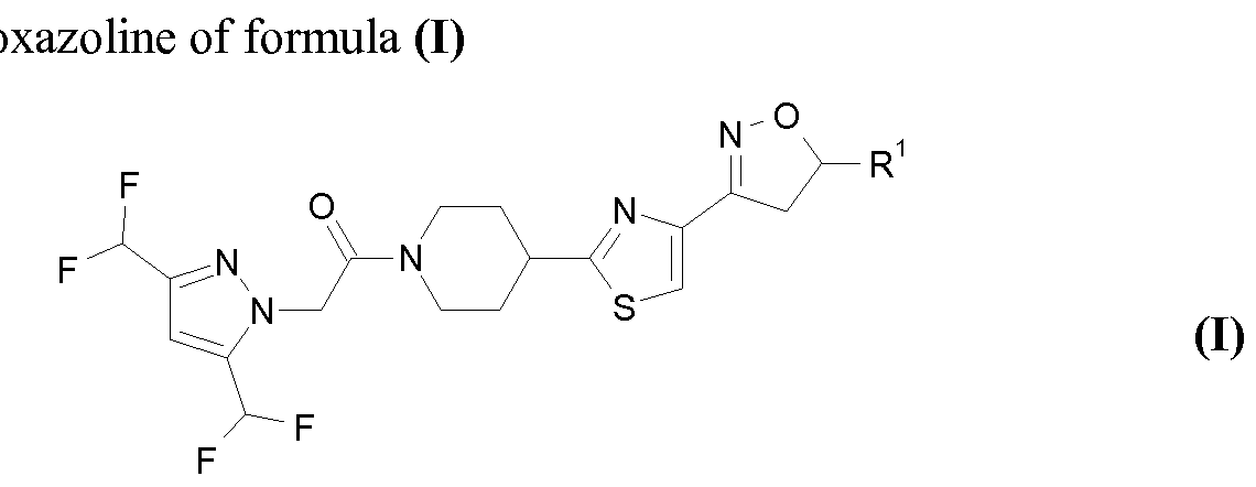 Figure imgf000003_0001