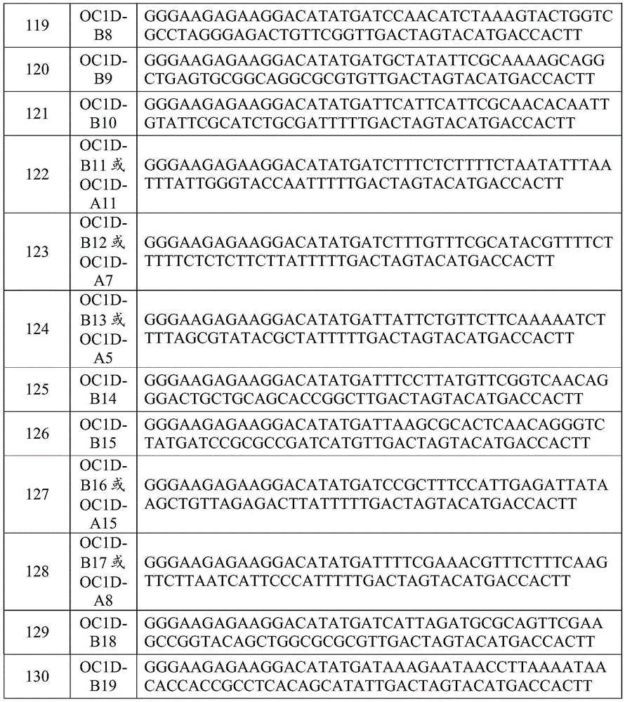 Figure BDA0002402678590000531