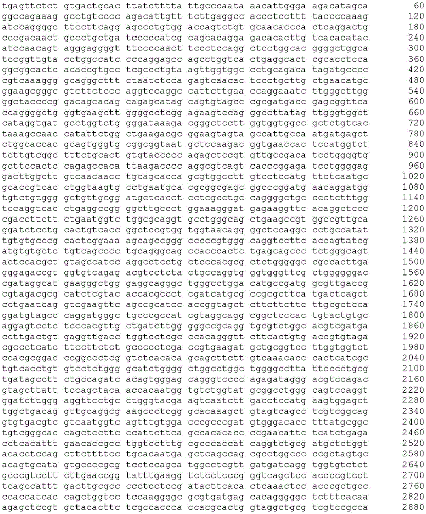 Figure BDA0003526863300000781