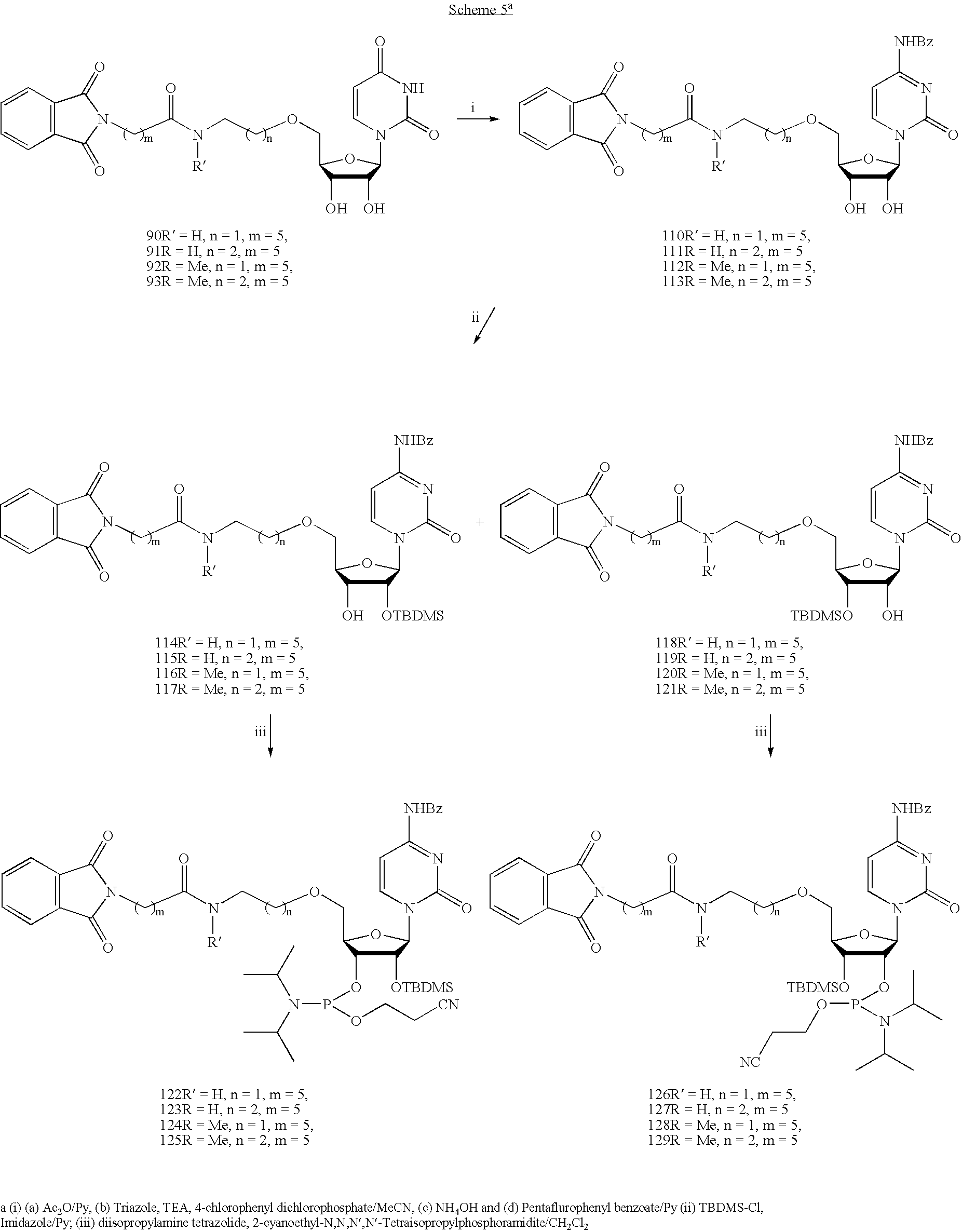 Figure US20070105803A1-20070510-C00156