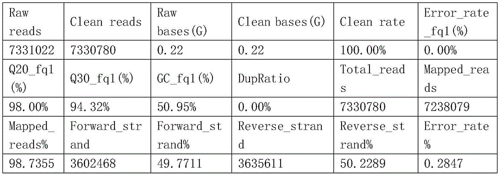 Figure BDA0003852928080000252