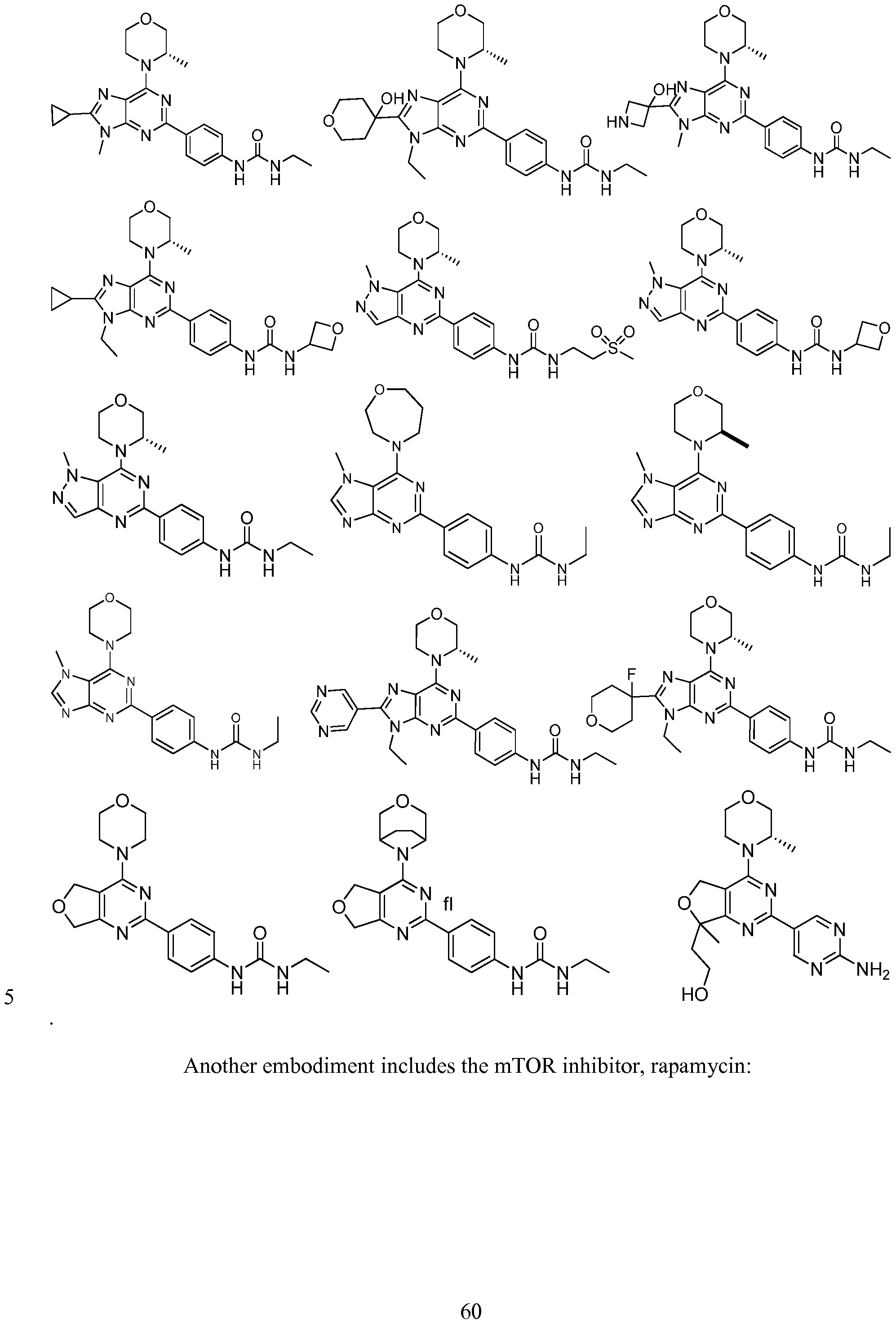 Figure imgf000061_0001