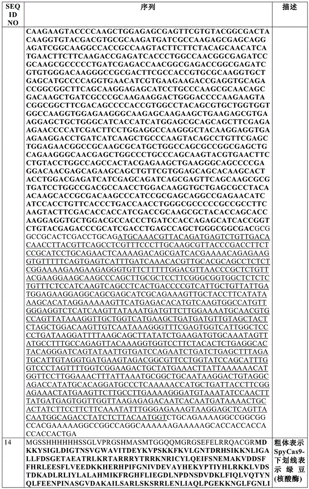 Figure BDA0002550795540000941