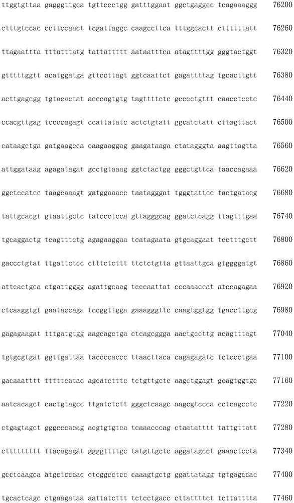 Figure IDA0003936212790001591