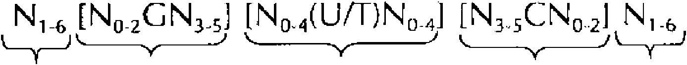 Figure imgf000099_0001