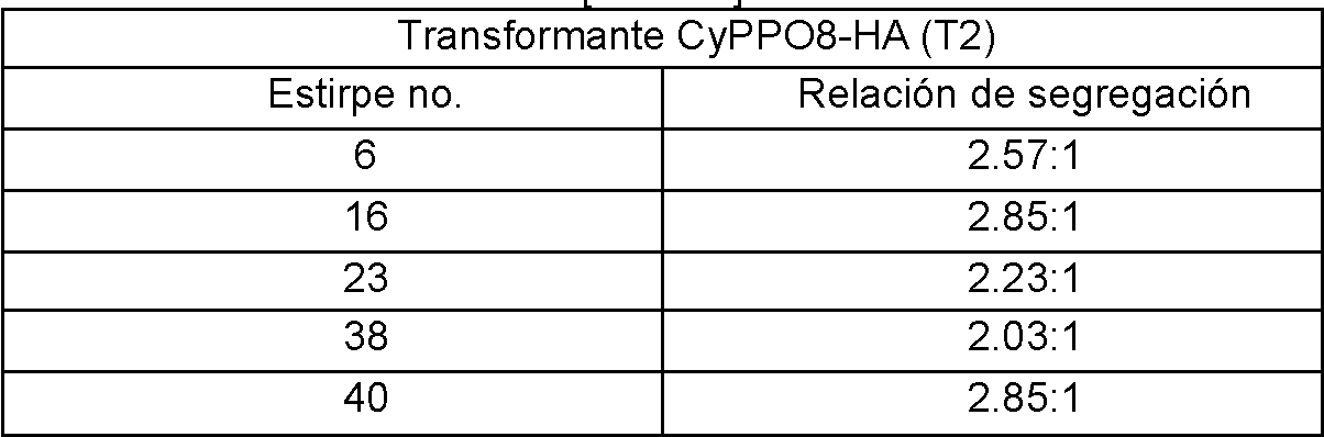 Figure imgf000020_0001