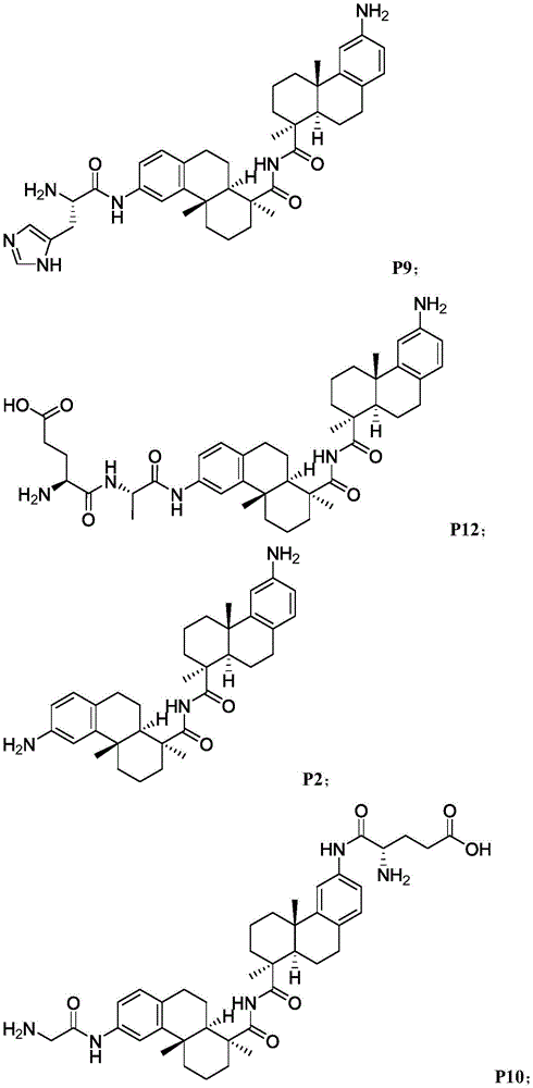 Figure BDA0003169092350000251