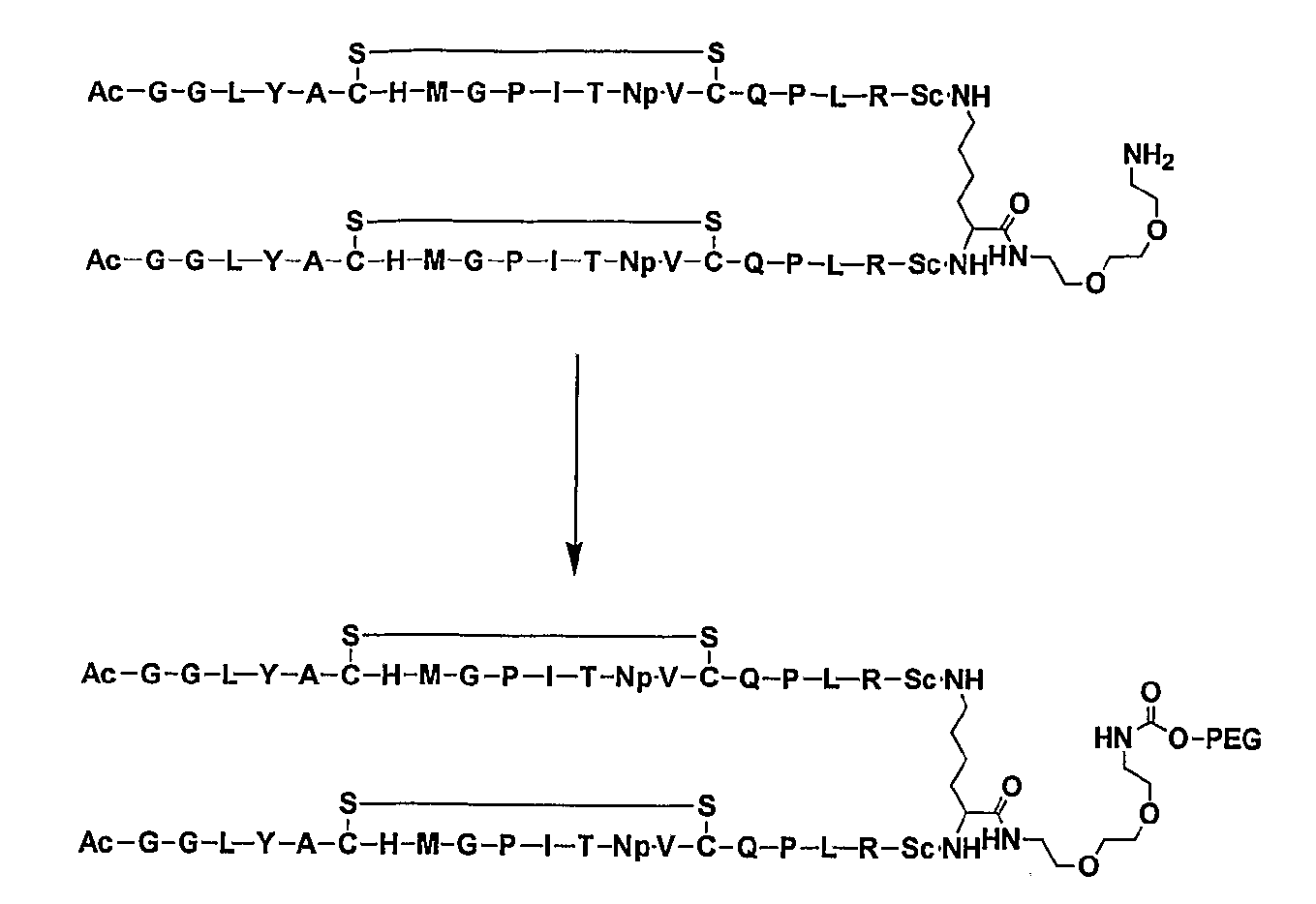 Figure 112005065157823-pct00025