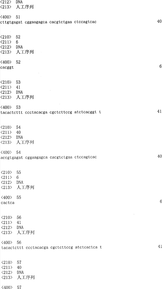 Figure ISA00000293334700091