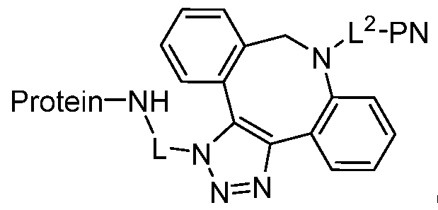 Figure imgf000048_0001