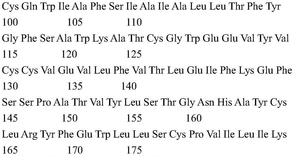 Figure GDA0004072109420000281