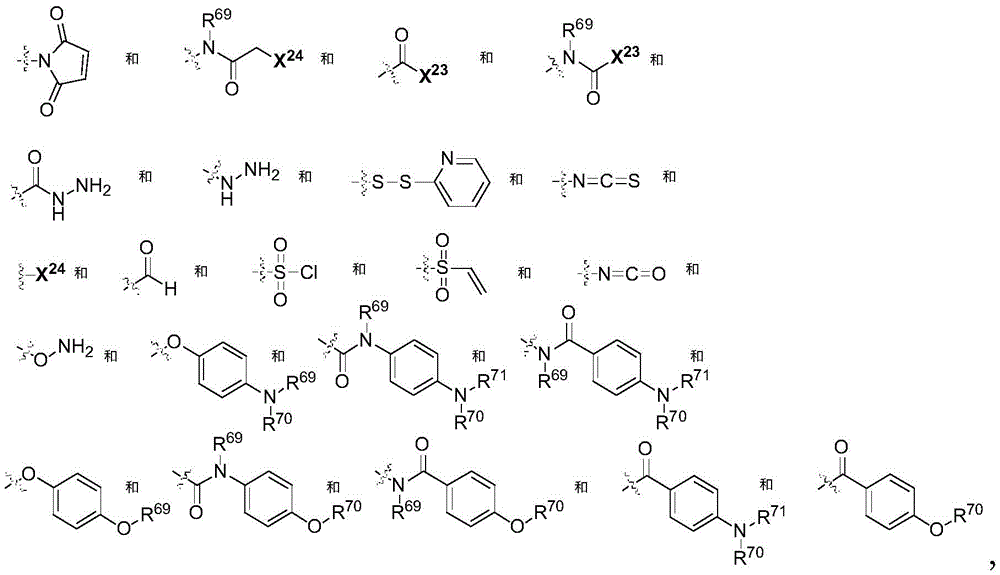 Figure GDA0002483706190000751