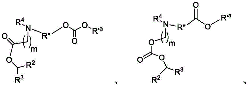 Figure FDA0003652566700000021
