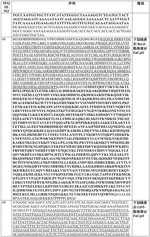 Figure BDA0002550795540001431