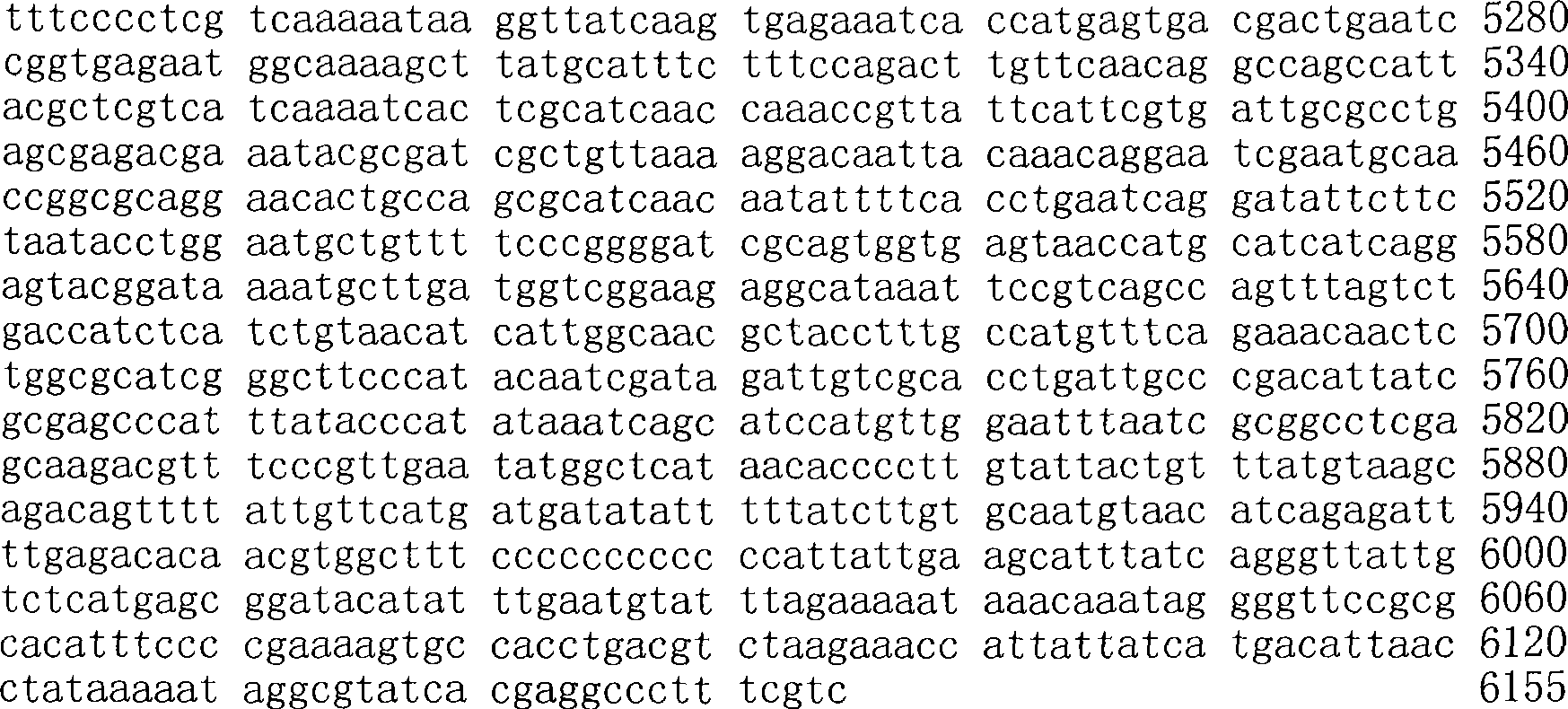 Figure A200780009494D03961