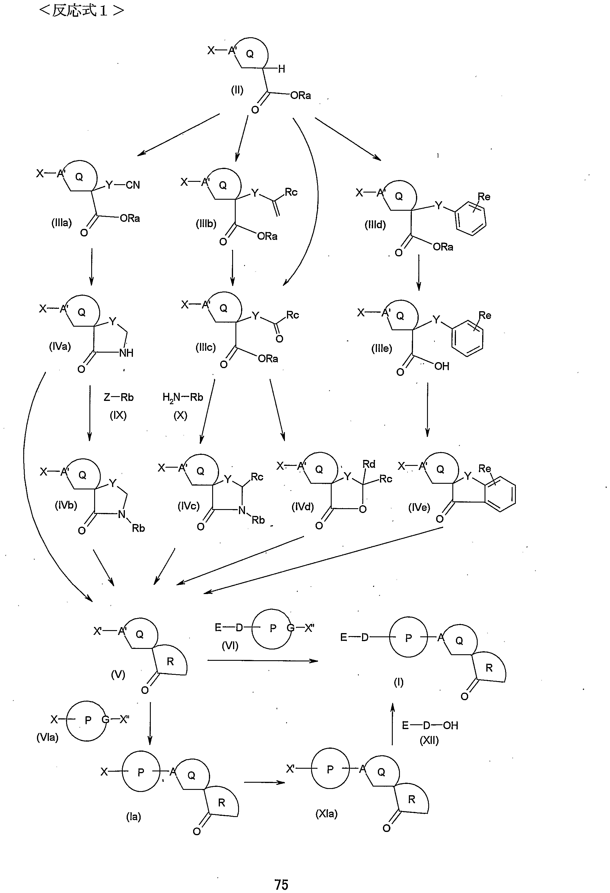 Figure imgf000077_0001