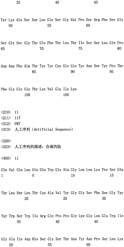 Figure IPA0000277507310000101