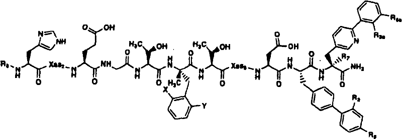 Figure B2005800295435D00081
