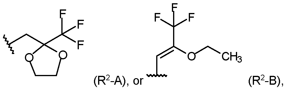 Figure imgf000007_0002