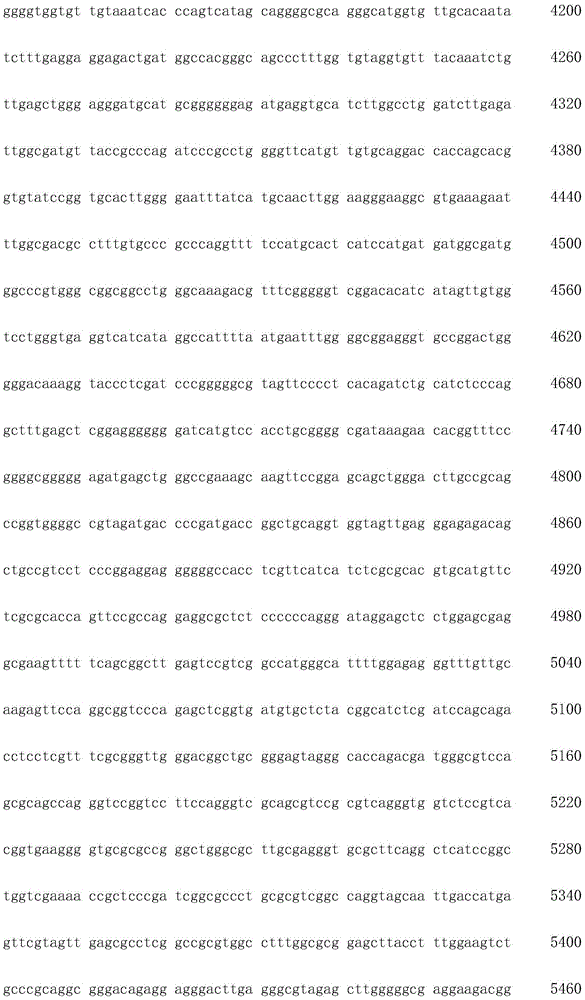 Figure IDA0002872168960001071