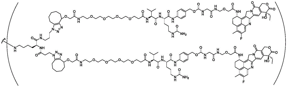 Figure FDA0003817518580000163