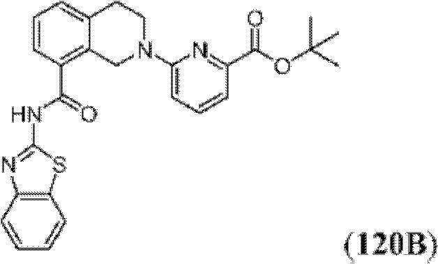 Figure BDA0000083236130003001