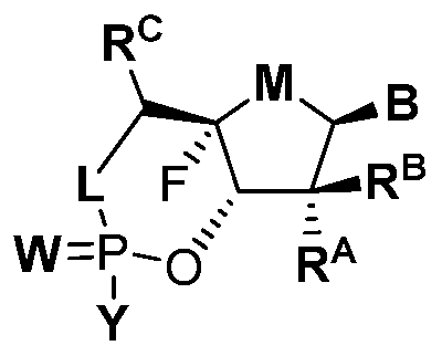 Figure imgf000031_0001