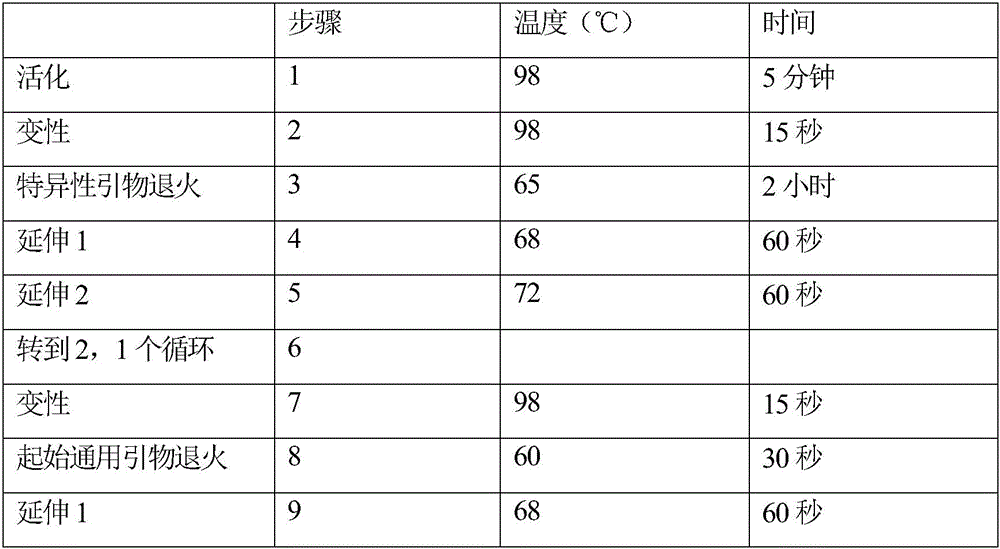 Figure BDA0002357574680000632