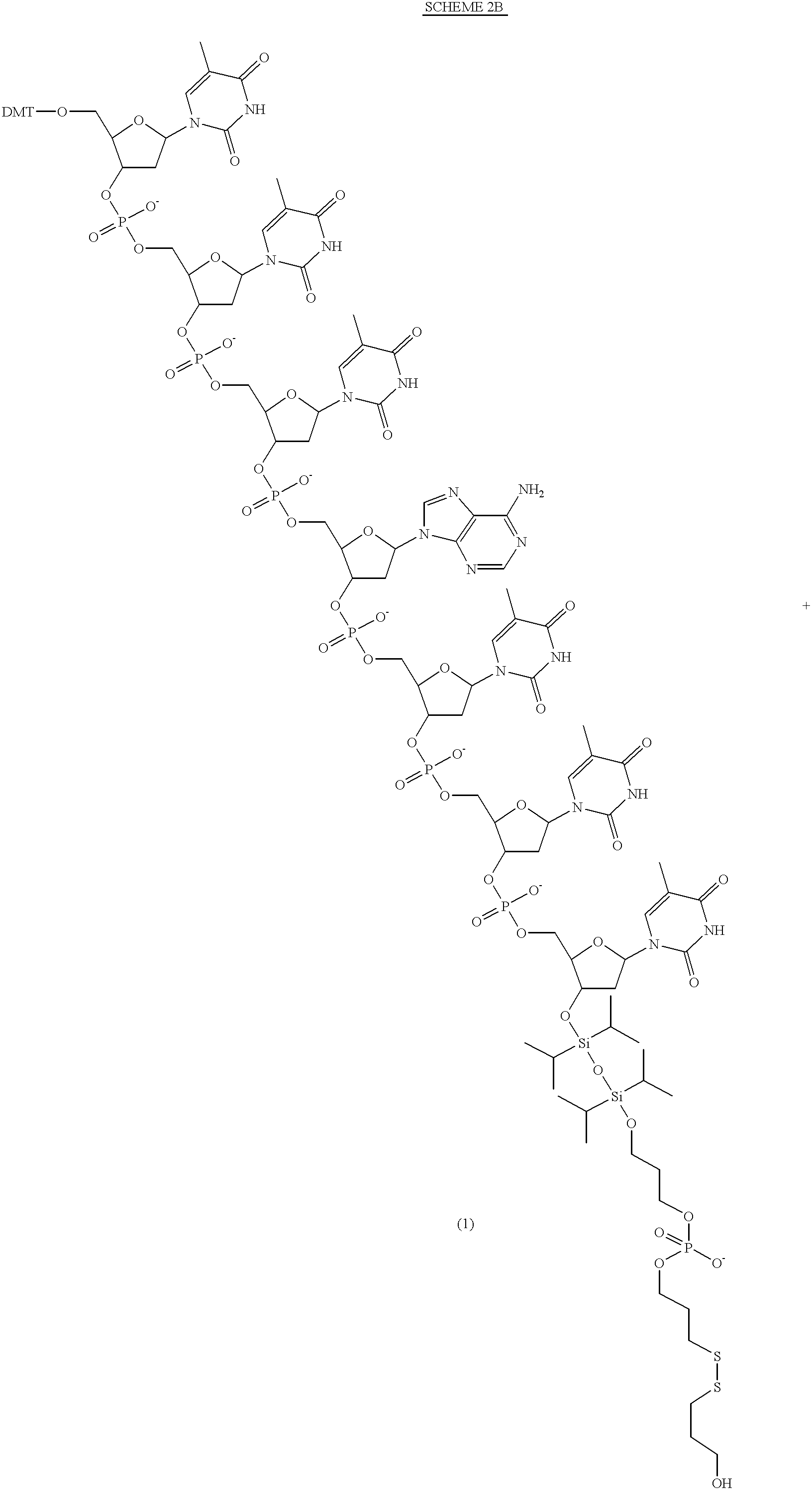 Figure US06472522-20021029-C00013