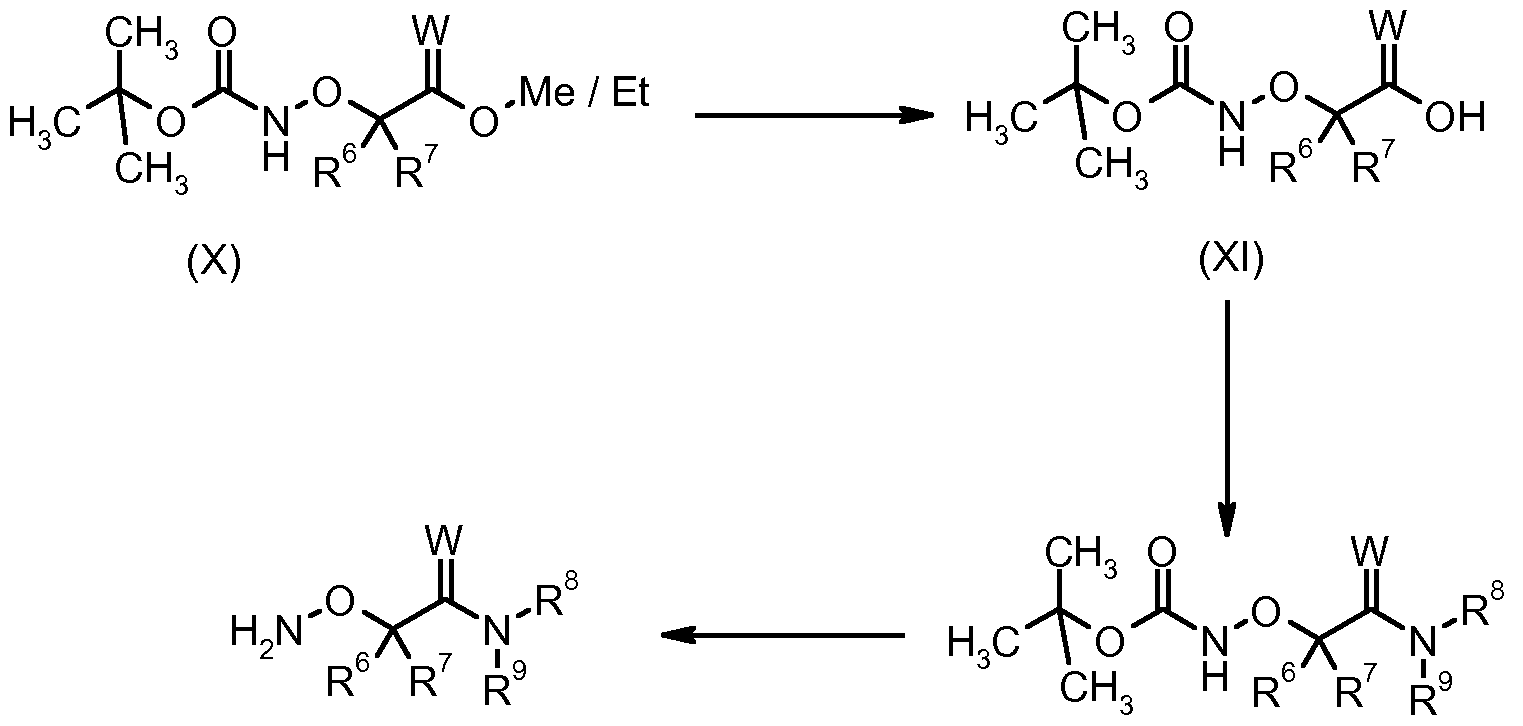 Figure imgf000071_0002