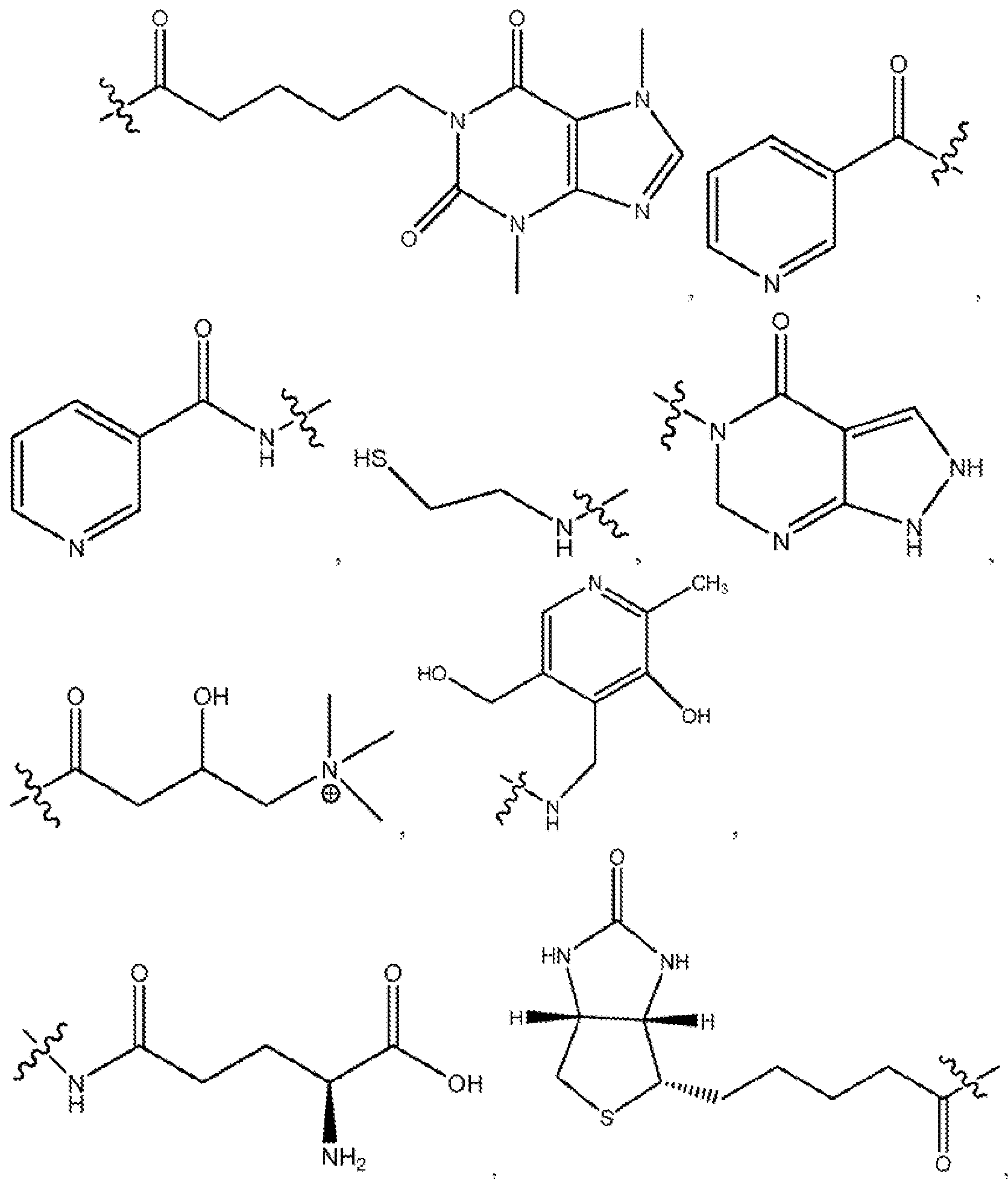 Figure imgf000035_0001