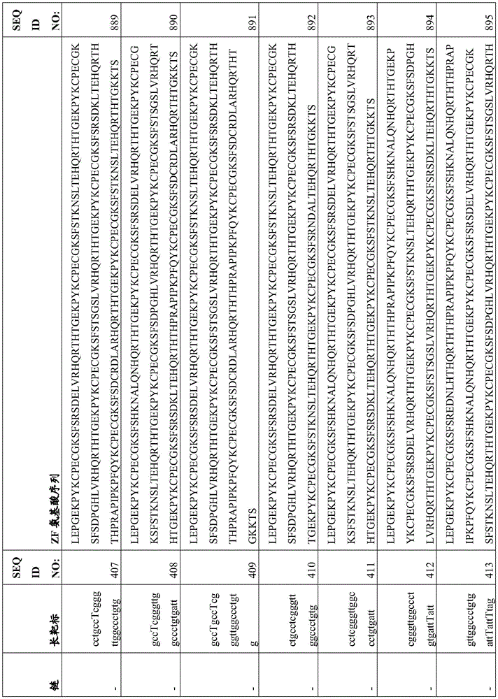 Figure BDA0003935065550000881