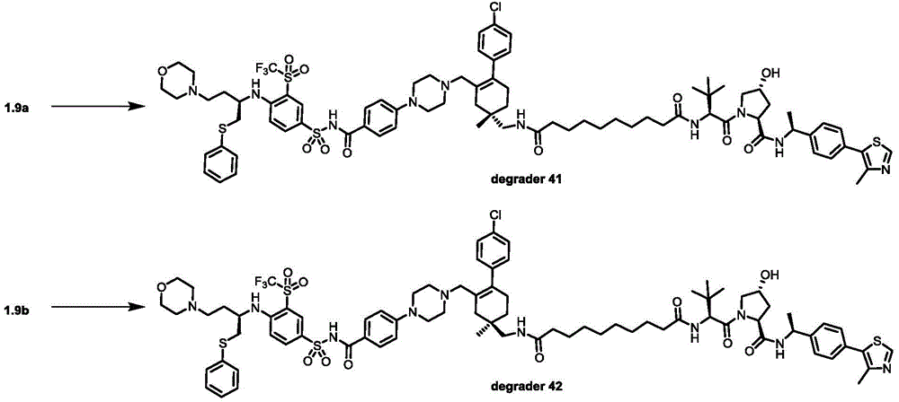 Figure BDA0003293294510001471