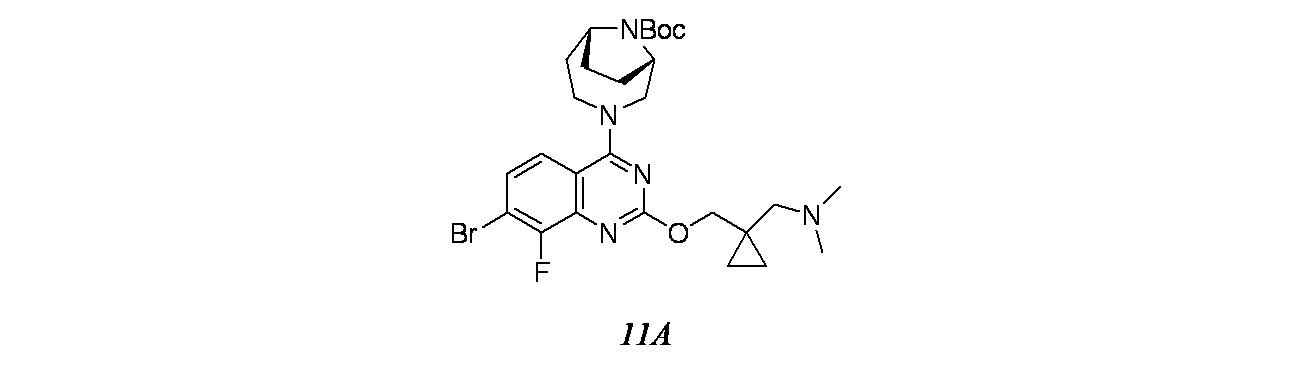 Figure 2024510207000173