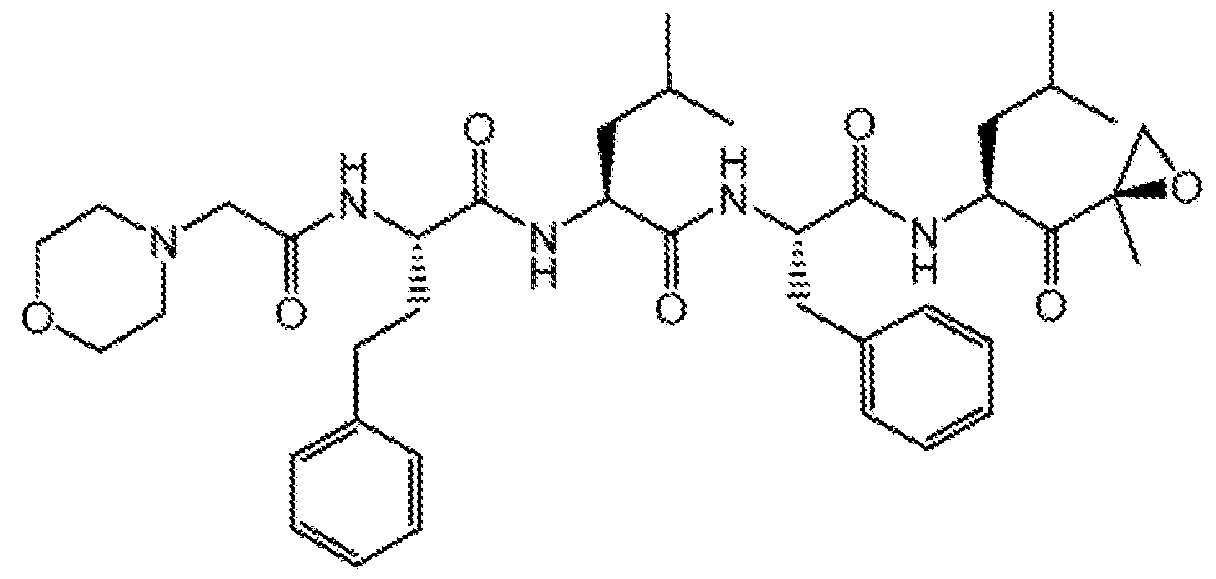 Figure imgf000005_0001