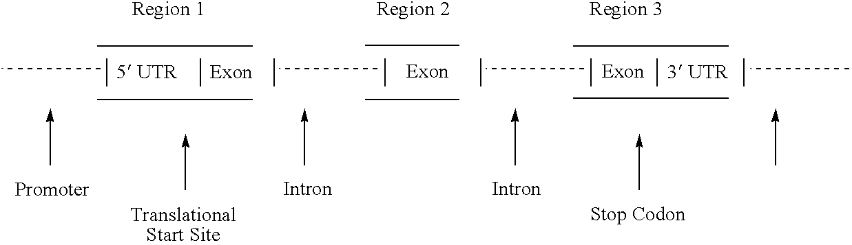 Figure US20070039066A1-20070215-C00001