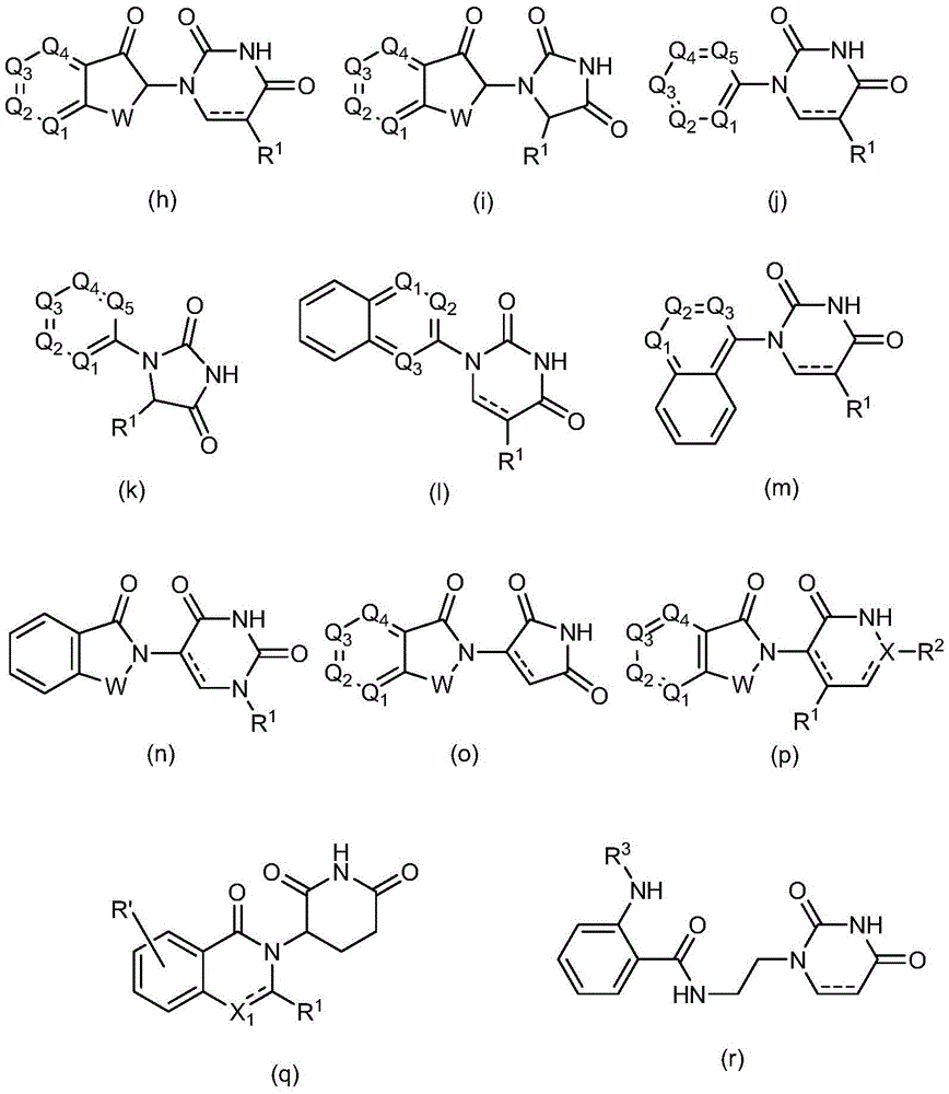 Figure FDA0002814149680000301