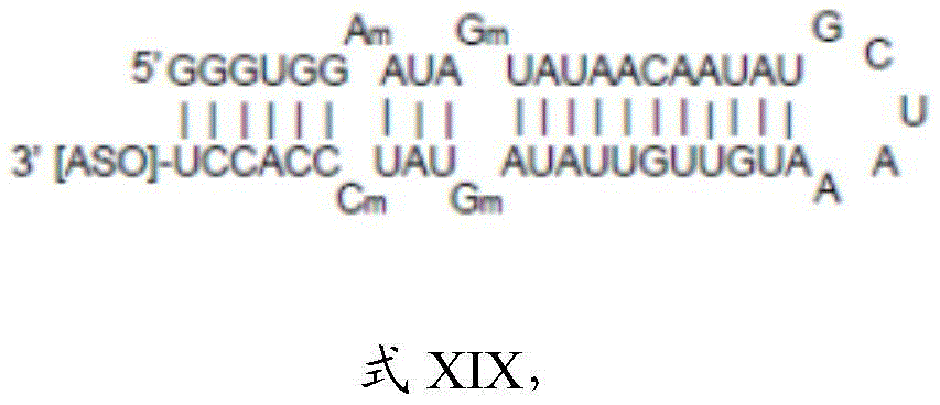 Figure BDA0003264319780000231