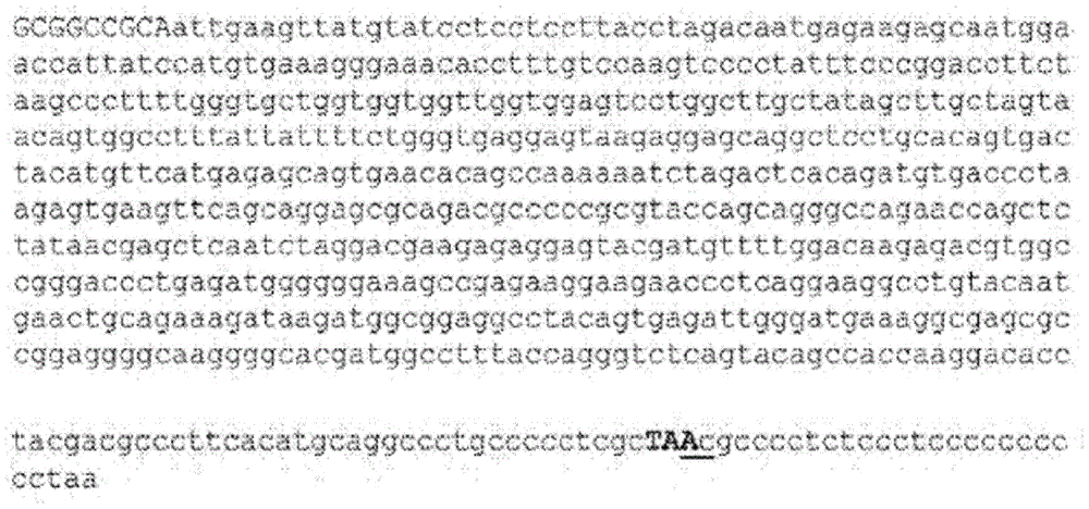 Figure BDA0001663560350000683