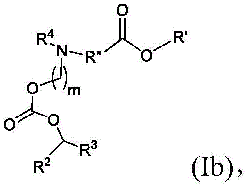 Figure BDA0003652566710000113