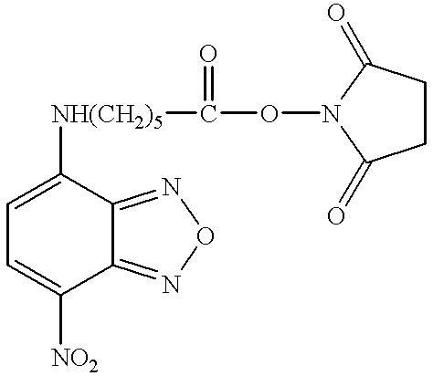 Figure US06303337-20011016-C00004