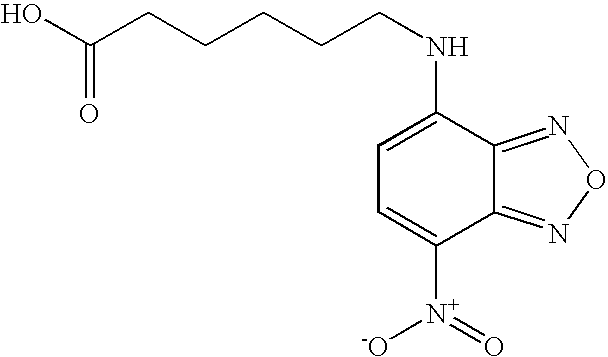 Figure US20070099235A1-20070503-C00015