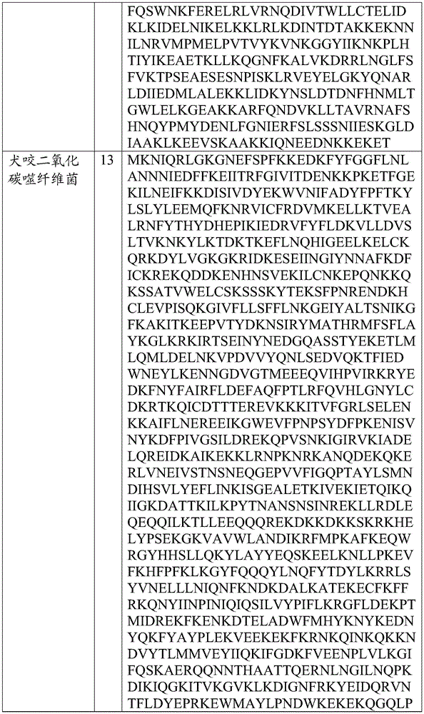 Figure BDA0002313867470002821