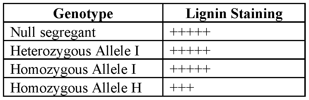 Figure imgf000102_0001