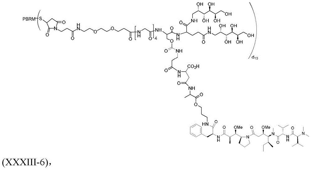 Figure BDA0003135424430002112
