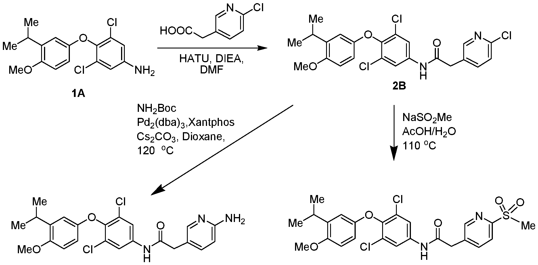 Figure imgf000050_0001