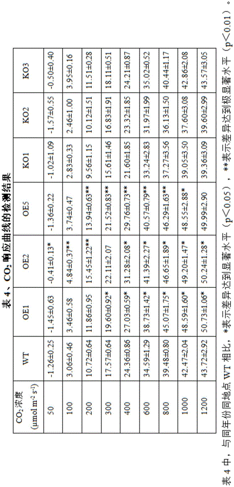 Figure BDA0003140964440000141