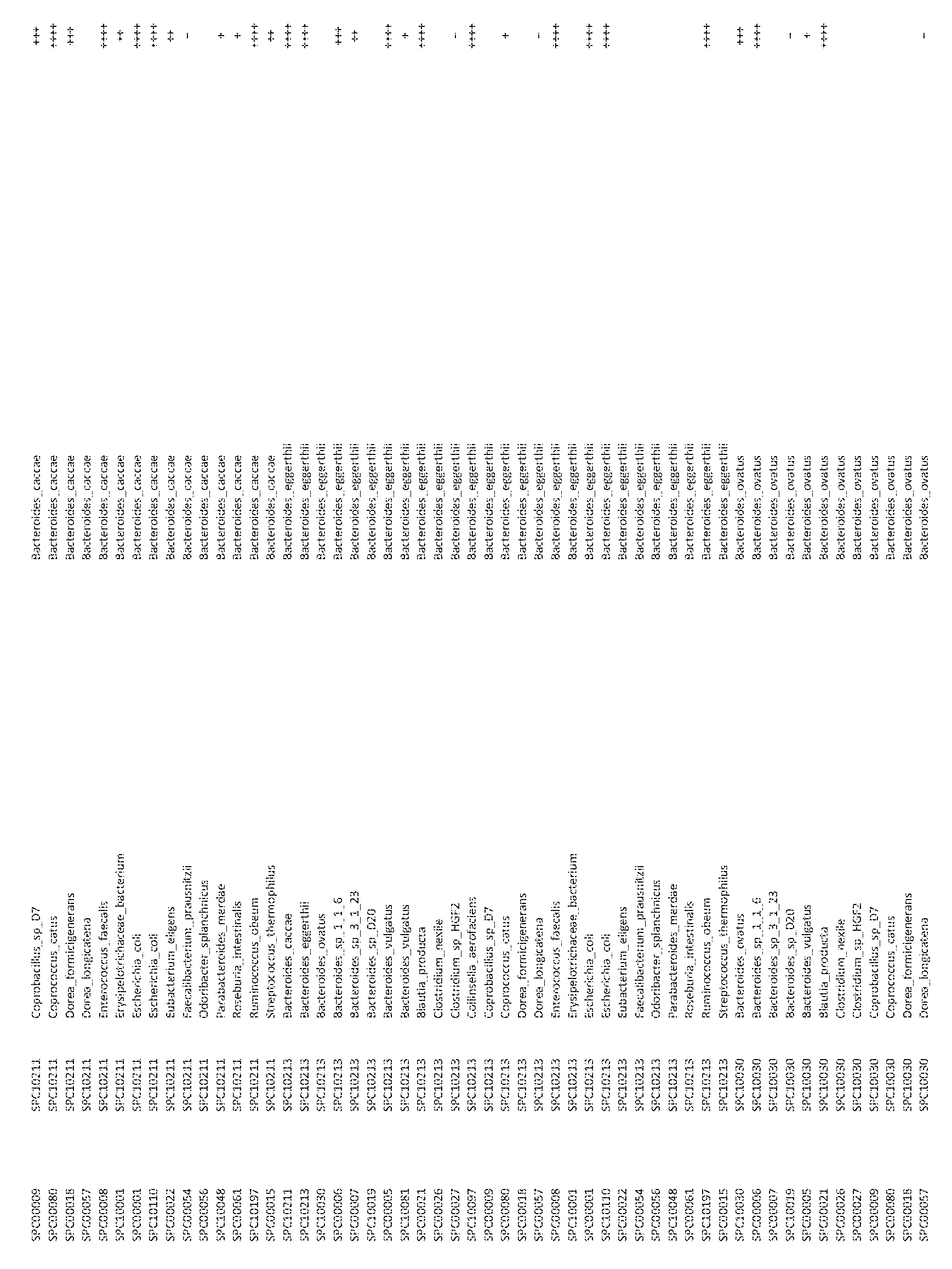 Figure imgf000191_0001