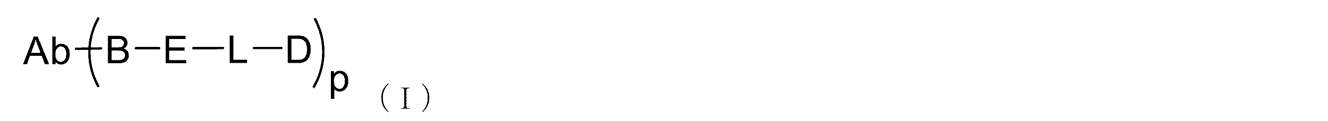 Figure 2022513198000029